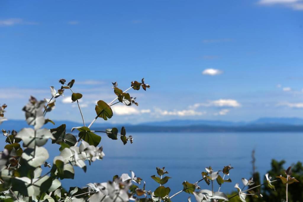 Holiday home Grosses Reihenhaus Mit Viel Gruen Und Meerblick *